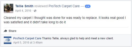 Satisfied Carpet Cleaning Client in Greensboro: Tellie Smith Review