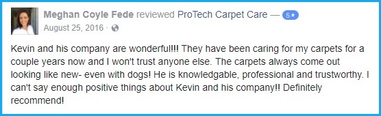 Meghan Fede Review Near Greensboro NC Protech Carpet Care