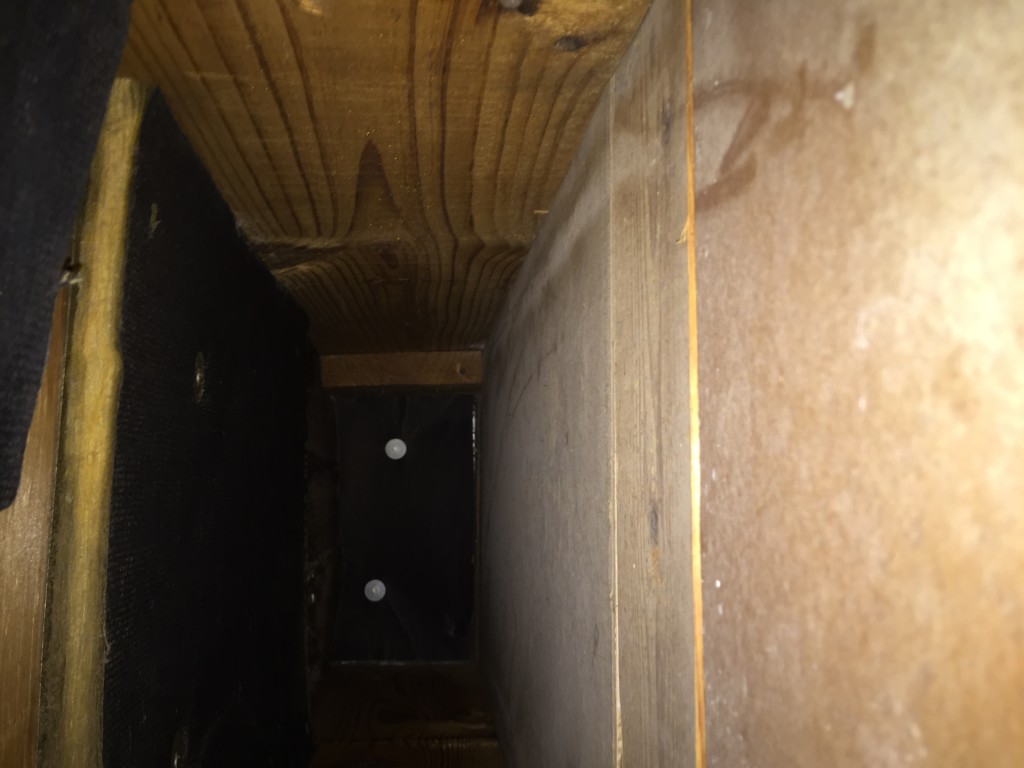 Family Carpets After ProTech Carpet Cleaning