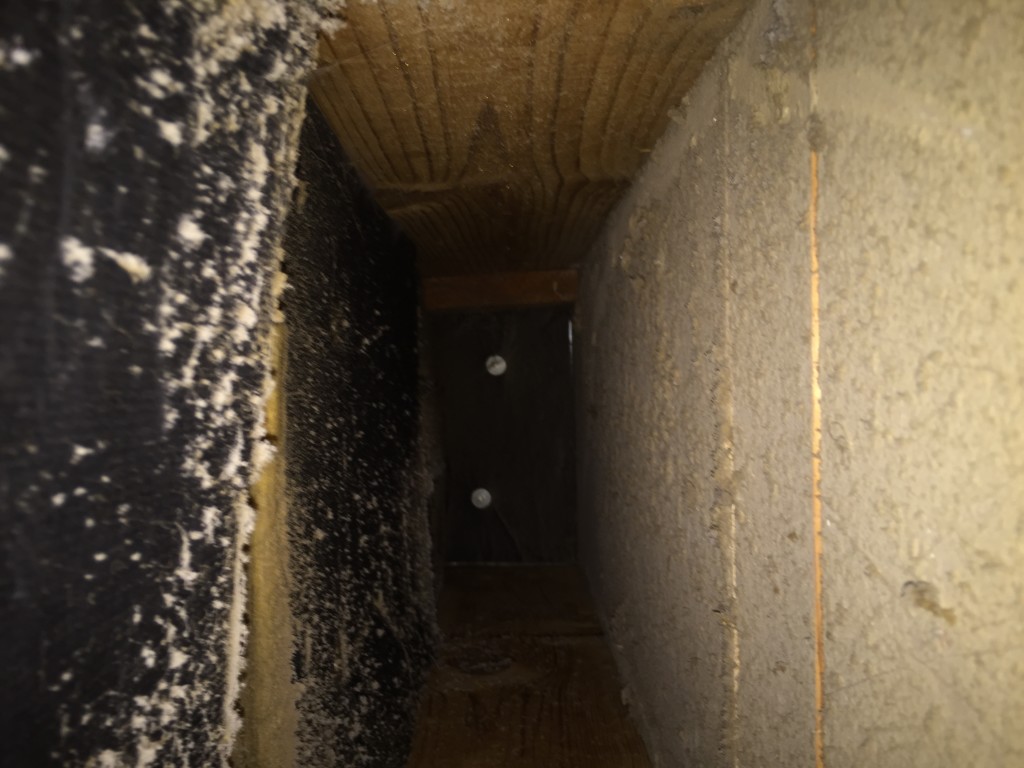 Family Carpets Before ProTech Carpet Cleaning