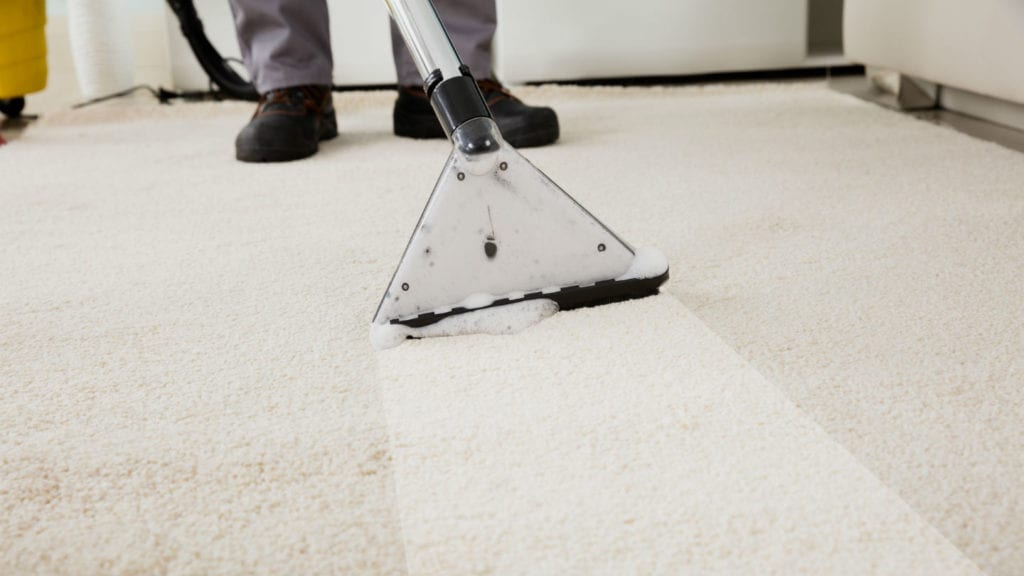 Professional Carpet Cleaning Companies and How to Choose Among Them