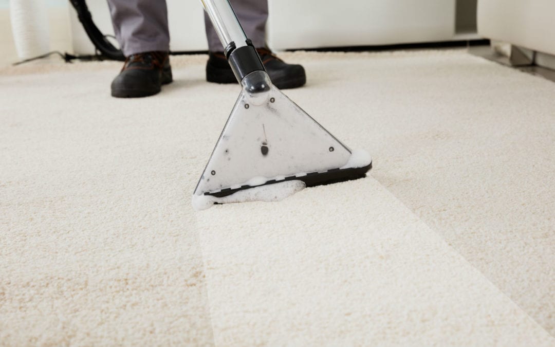 How to Choose the Best Carpet Cleaning Company Near Me