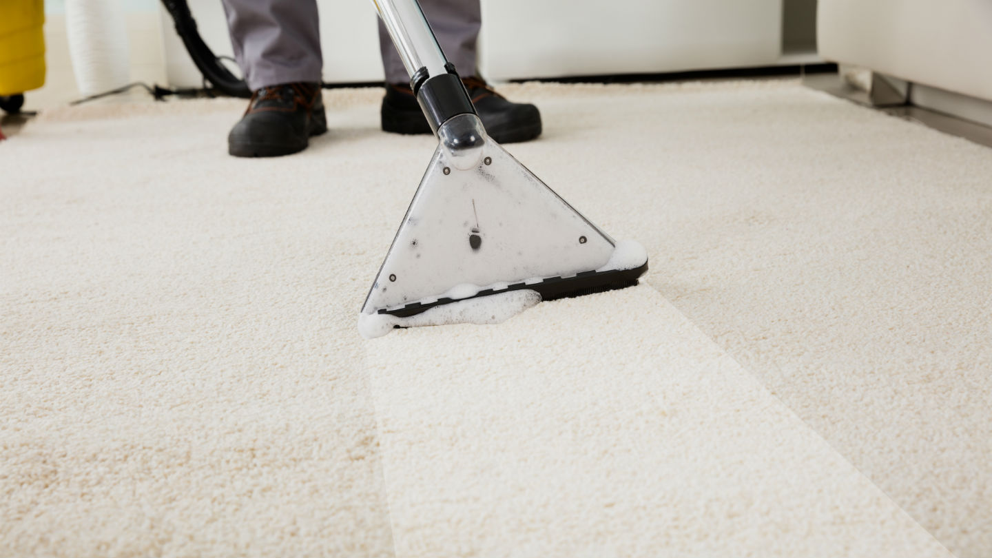 Carpet Cleaning Hampshire