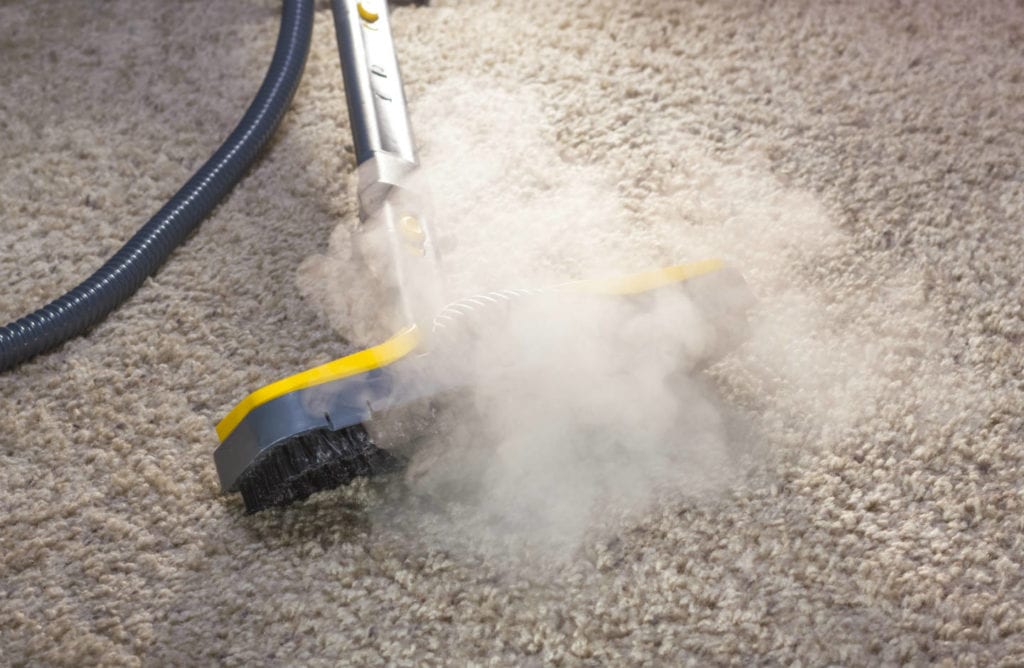 Steam Cleaning is But One of Many Professional Carpet Cleaning Techniques