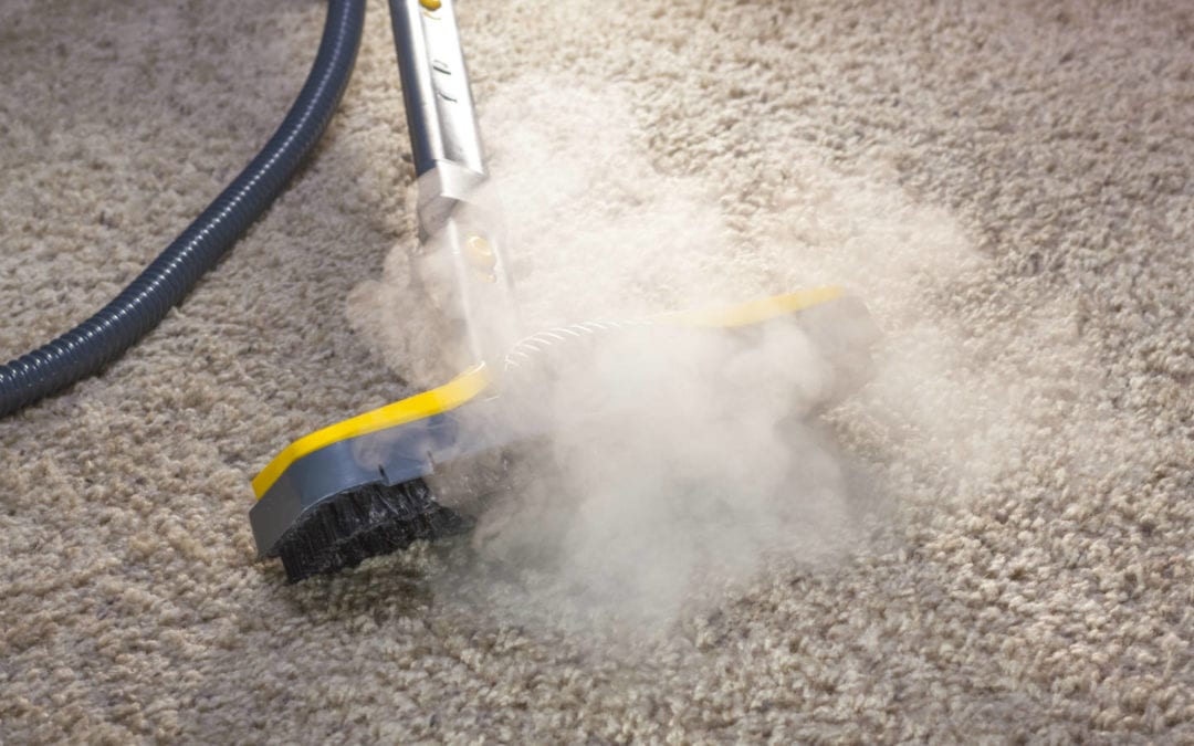 Steam Cleaning is But One of Many Professional Carpet Cleaning Techniques