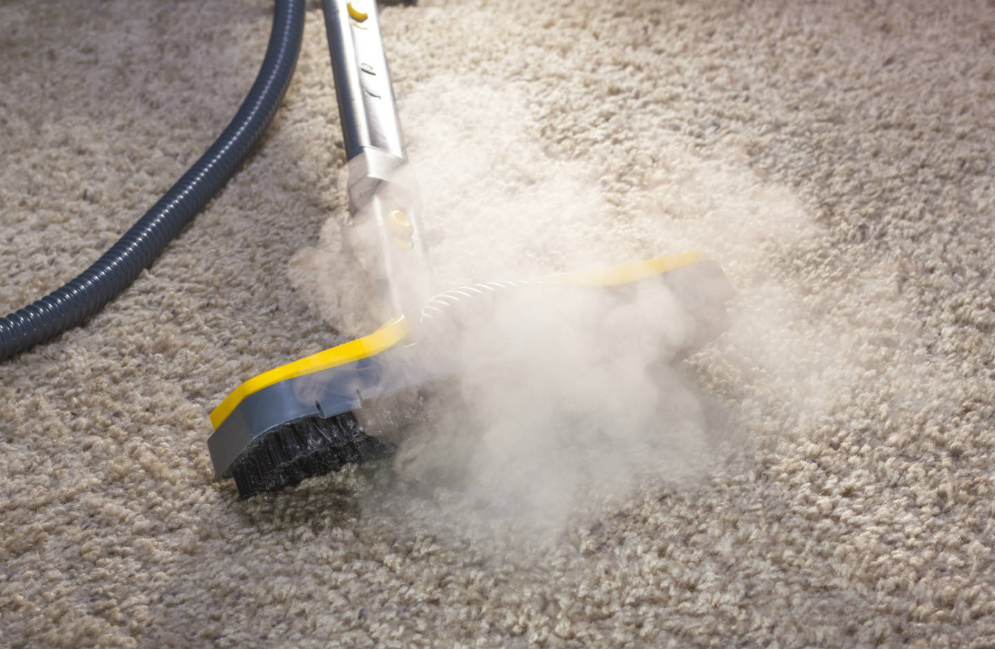 Rug Cleaning