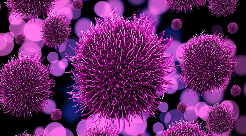 Germs-in-your-Dirty-Carpets, The Unseen Dangers Lurking within Your Dirty, Nasty, Disgusting Carpets