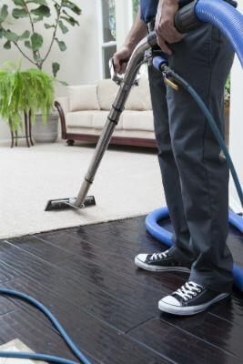 PTCC Steam Clean 1, Protech Carpet Care