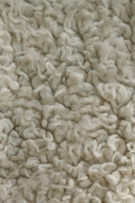 Carpet Matting Warranty, Protech Carpet Care