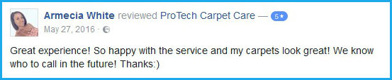 Armecia White Carpet Repair Review Armecia White Review Near Greensboro