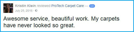 Kristin Klein Carpet Restoration Review Kristin Klein Review Near Greensboro