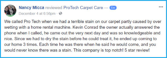Nancy Micca Multi Room Carpet Cleaning Review Nancy Micca Review In Summerfield
