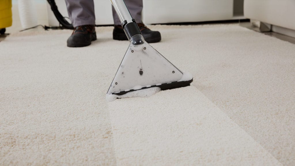 Professional Carpet Cleaning in Greensboro