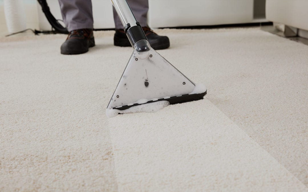 Professional Carpet Cleaning in Greensboro