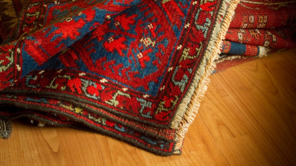 area rug cleaning