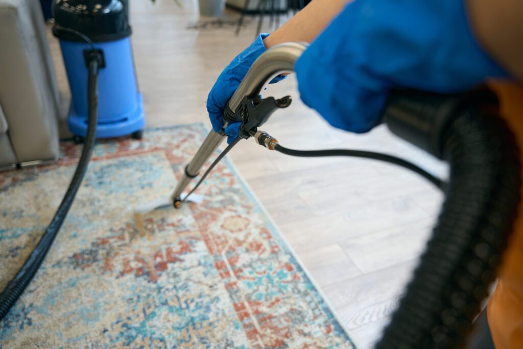 Carpet Cleaning
