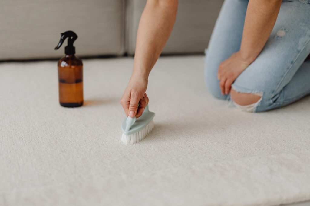 carpet cleaning