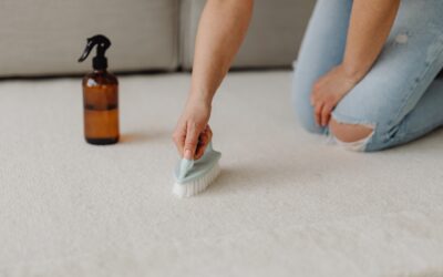 Revitalize Your Space: Benefits of Regular Carpet Cleaning