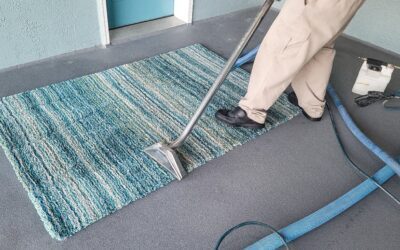 The Ultimate Guide to Carpet Cleaning and Maintenance