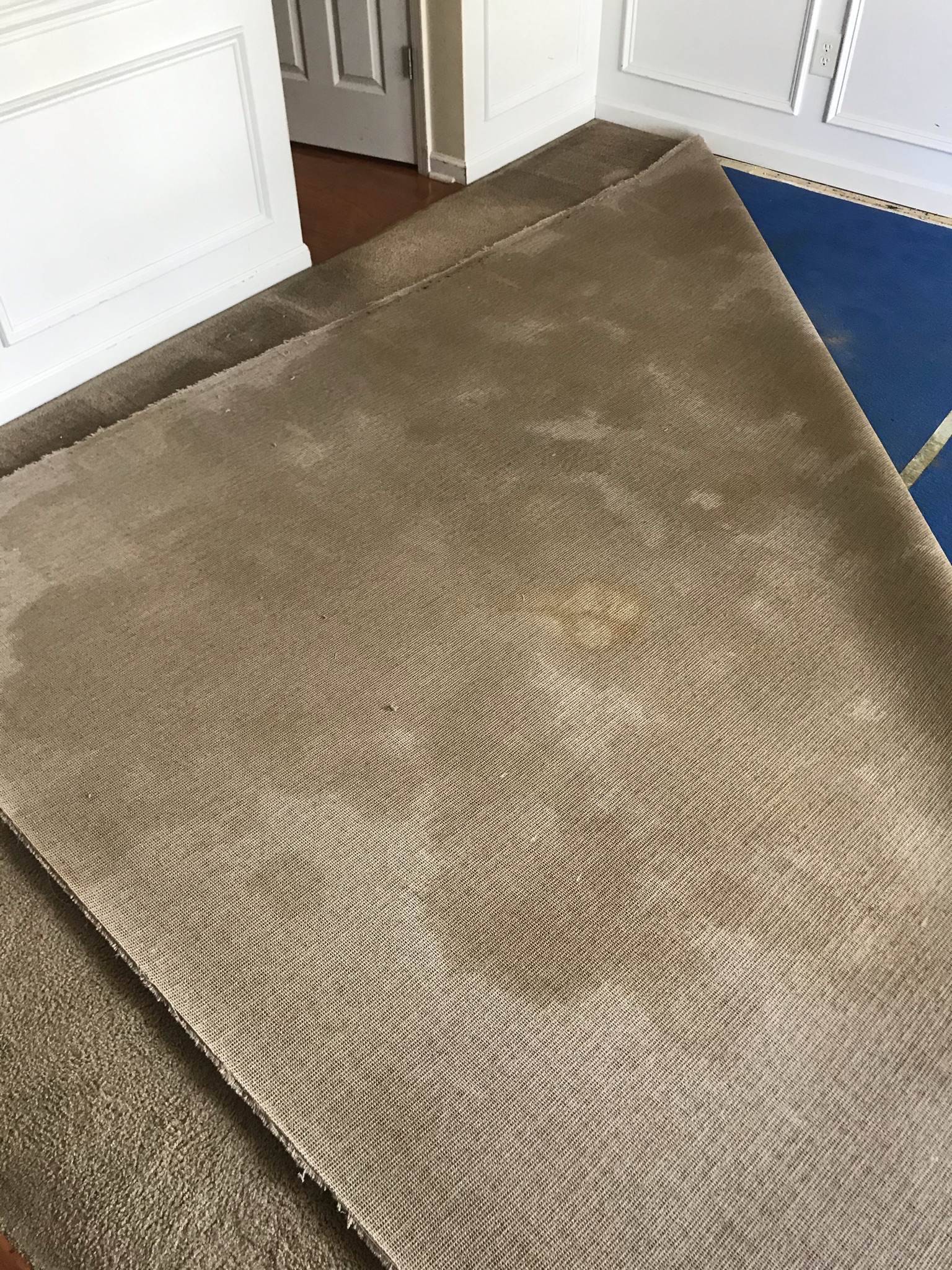 High Point Carpet Cleaning Professionals