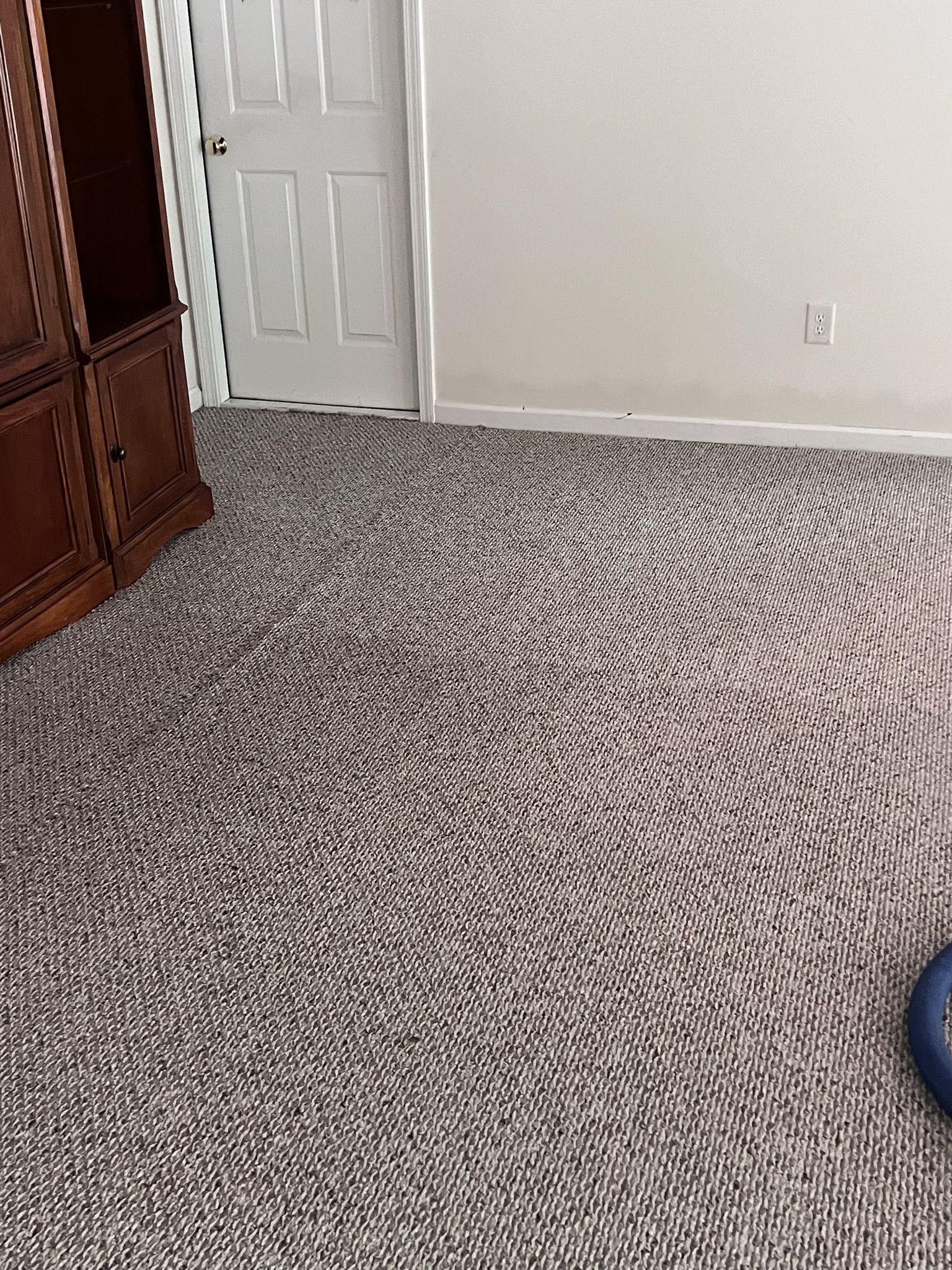 Carpet Steam Cleaning in Greensboro