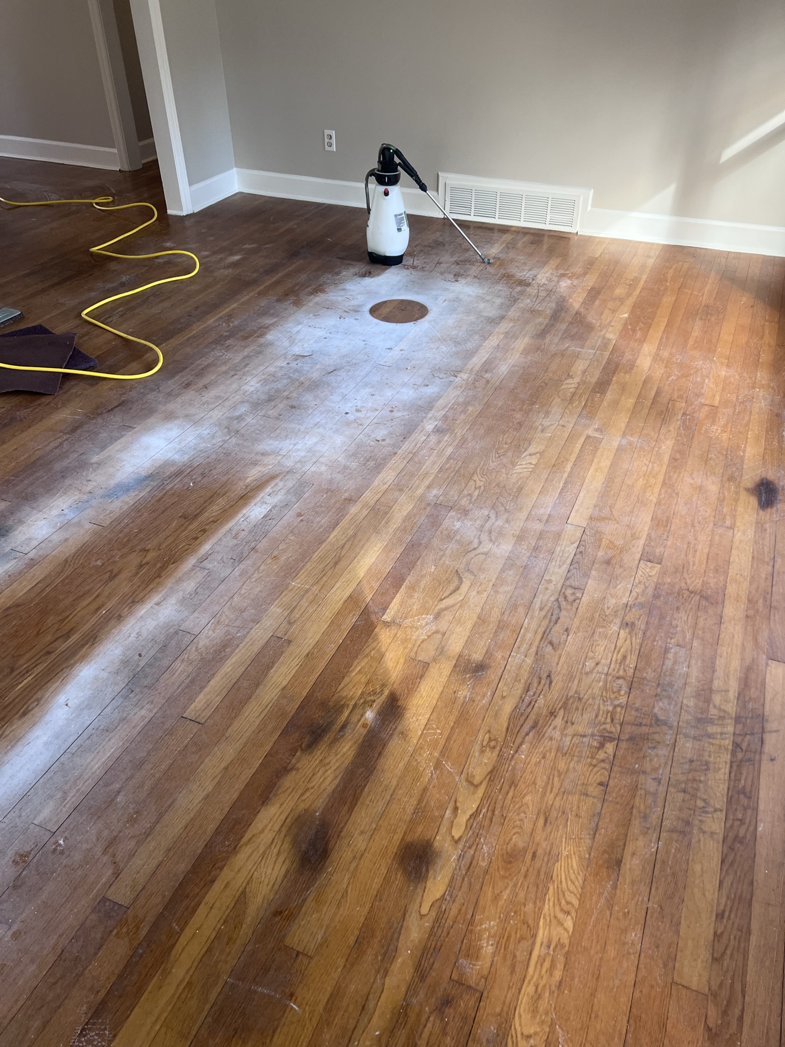 Winston-Salem Carpet Cleaning Professionals