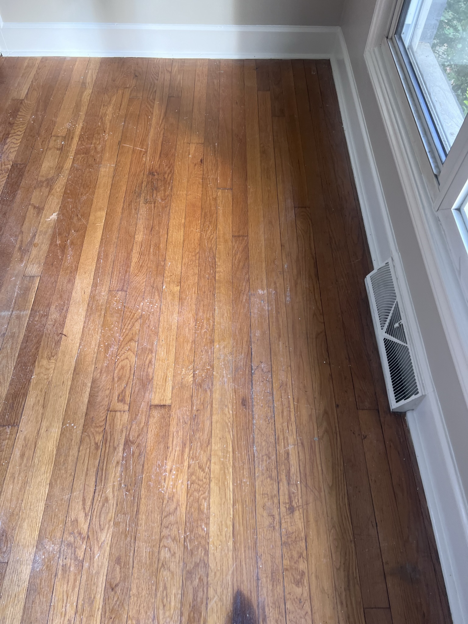 North Carolina Carpet Cleaning Professionals