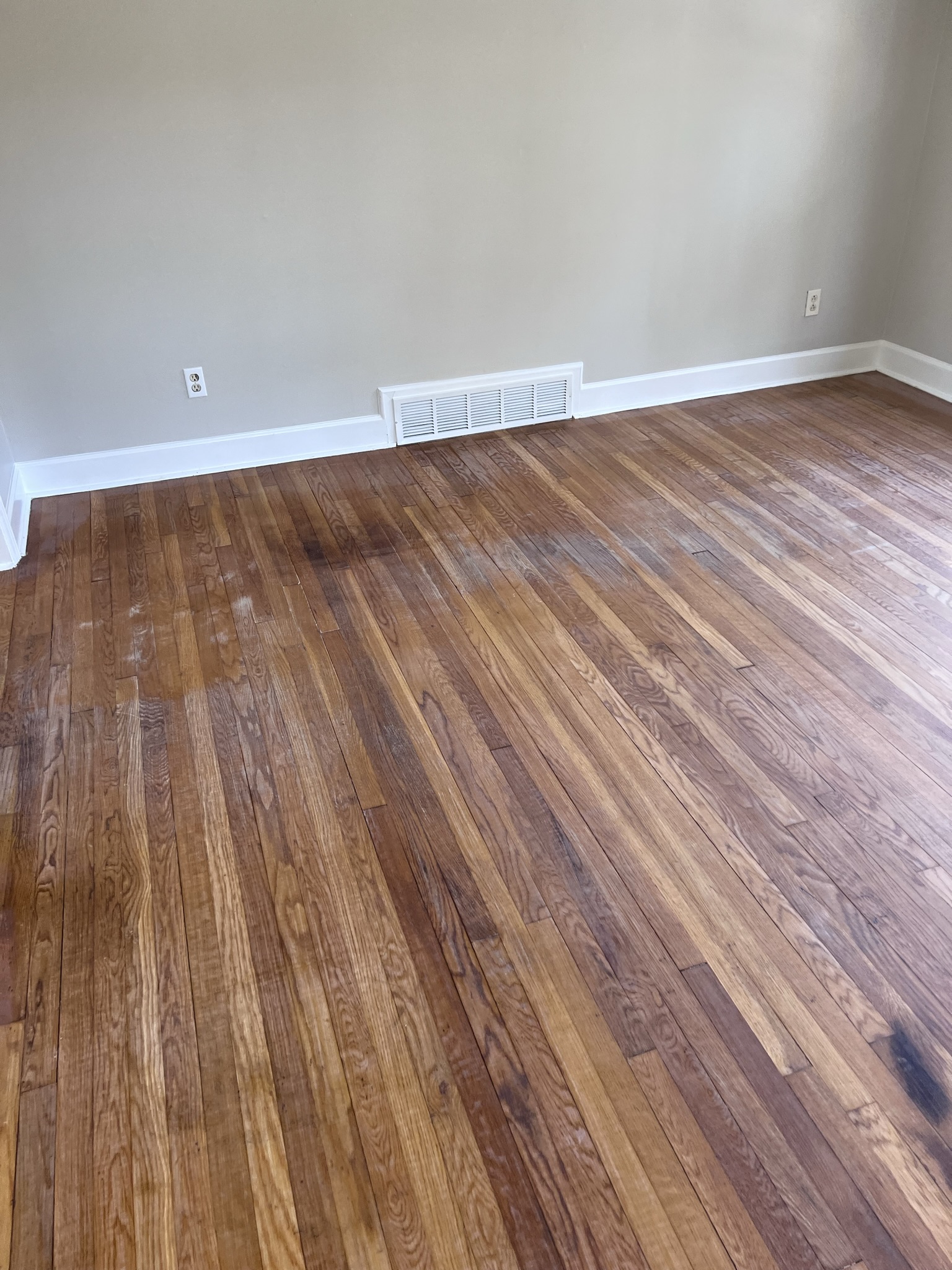 Greensboro Carpet Cleaning Professionals