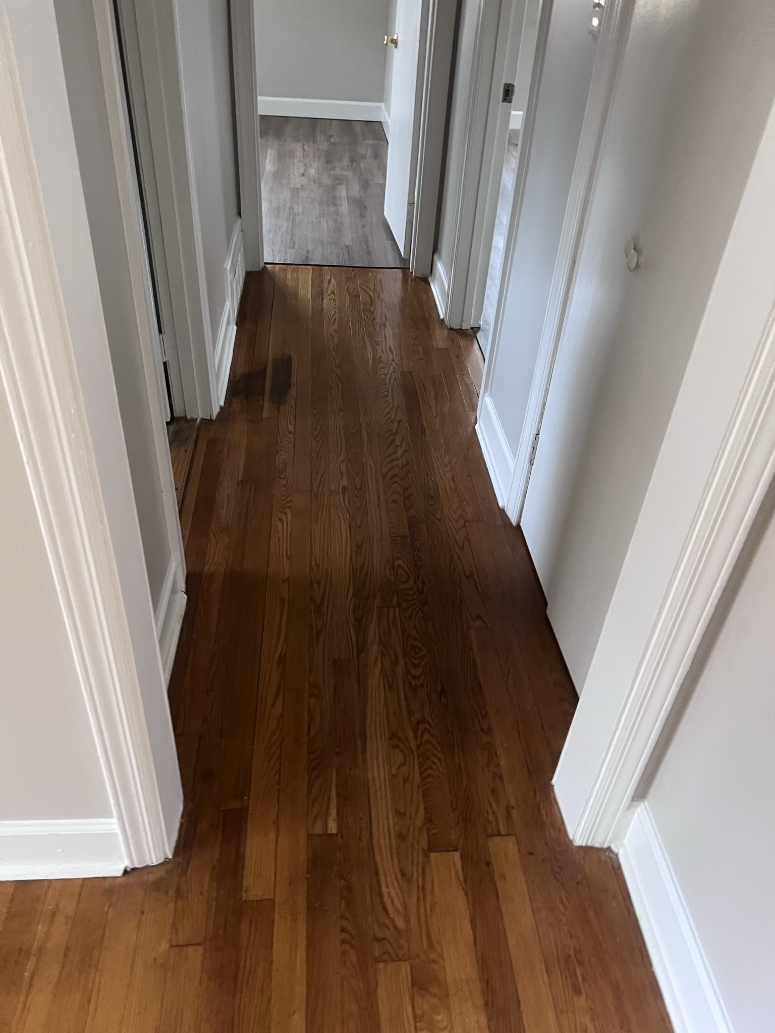 Burlington Carpet Cleaning Professionals