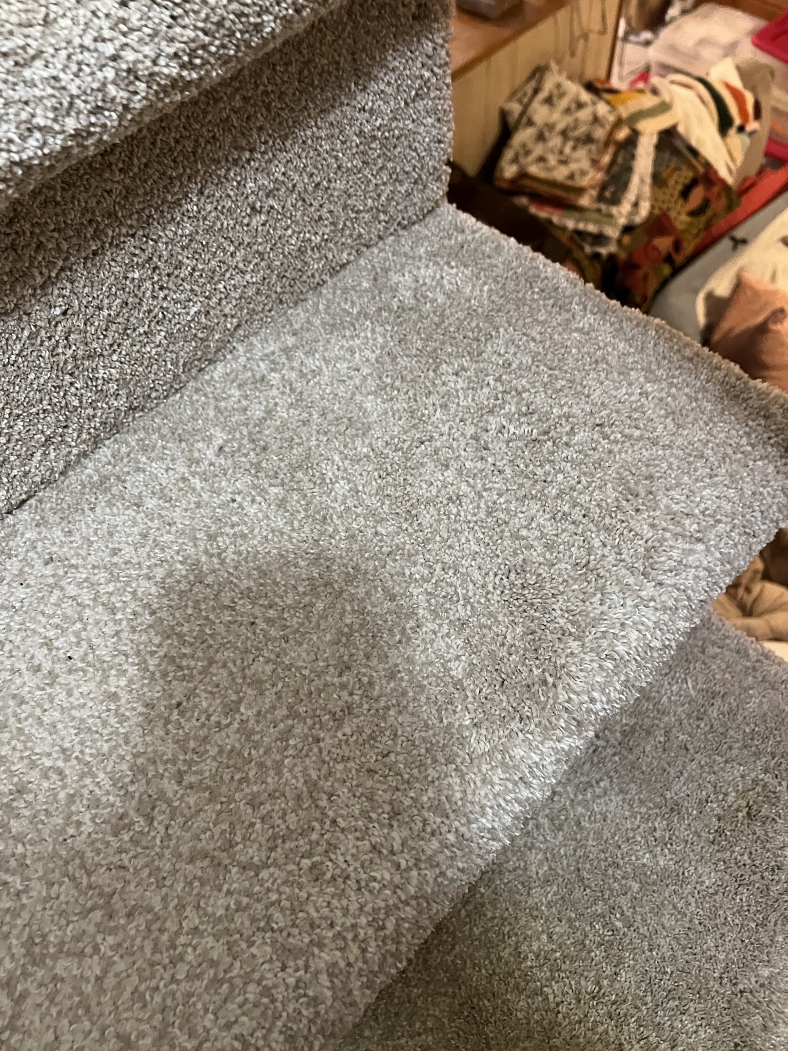 Carpet Restoration in Greensboro