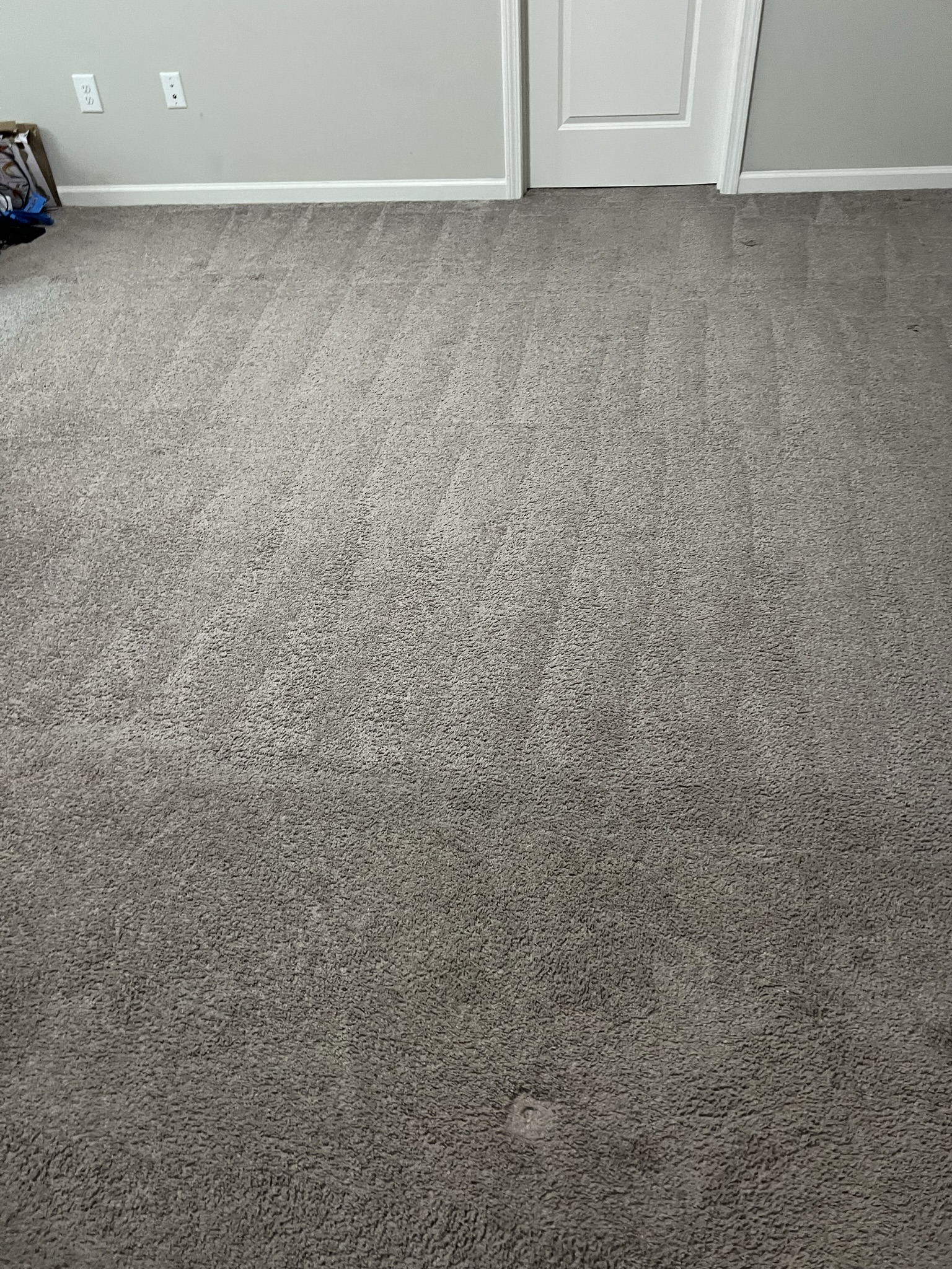 Carpet Shampooing in Greensboro