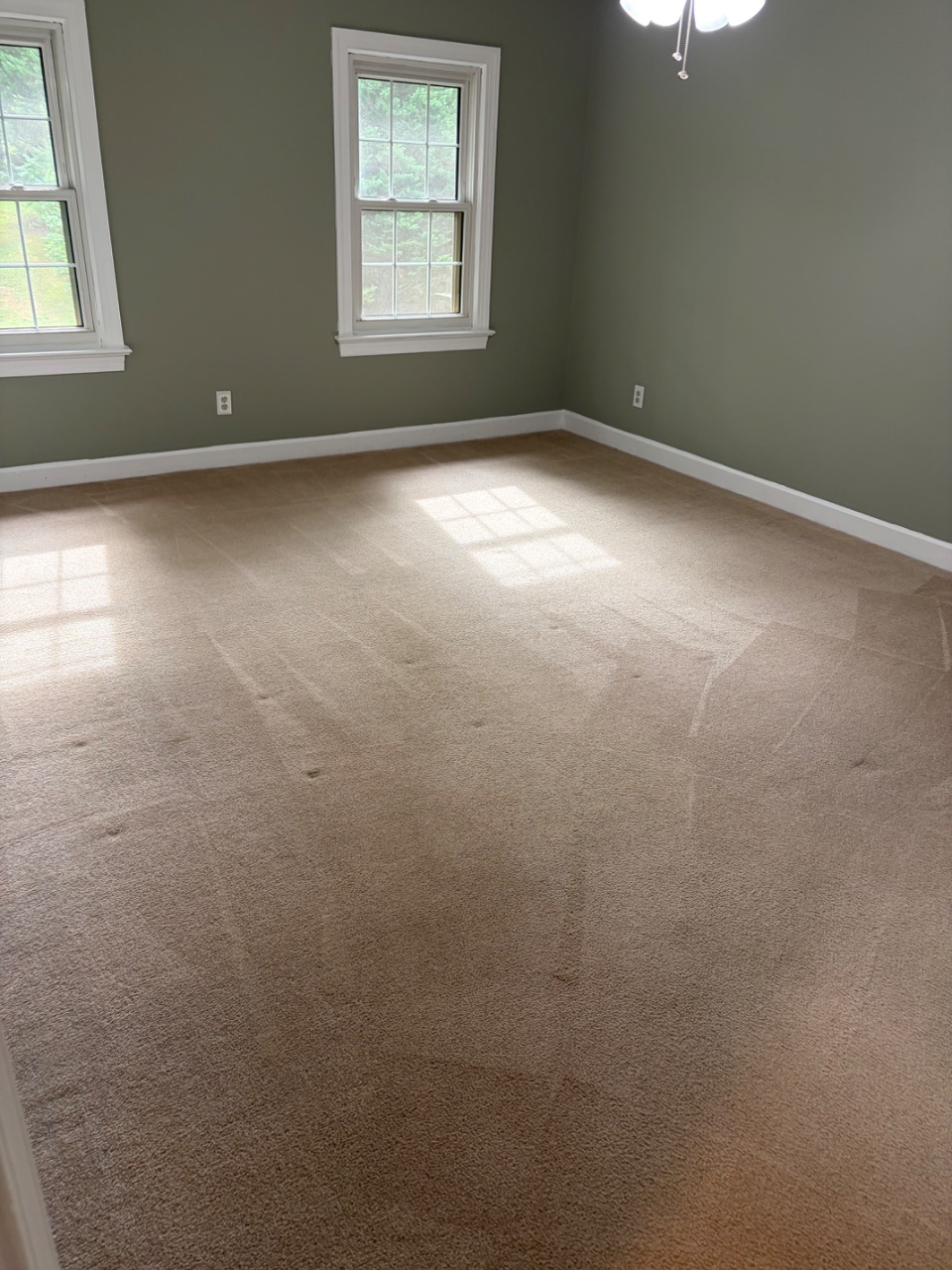 I can't see the photo itself, but I can work from the job details you provided — residential carpet and stair cleaning in Kernersville, NC. Here's a post for Facebook and Google Business Profile:
---
Spent the morning in Kernersville taking care of carpet and stairs that had seen better days. Residential carpet takes a beating — especially on stairs where all the foot traffic funnels through. Got everything cleaned up and looking fresh again for the homeowner.
If your carpets could use some attention, give us a call at 336-202-2061 or visit protechcarpetcare.com to schedule. We'll take good care of your home.
---
Want me to adjust the tone or add anything specific you remember from the job?